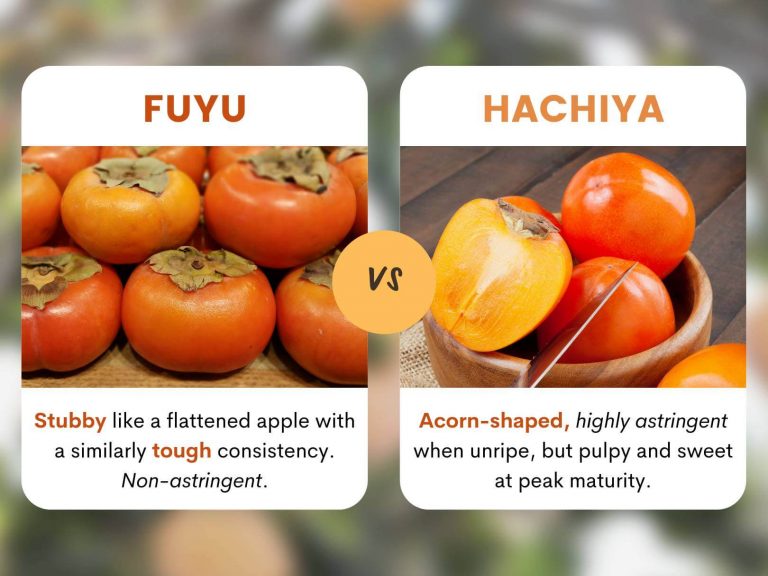 Persimmons A Chef's Guide to Cooking with Fuyu and Hachiya!