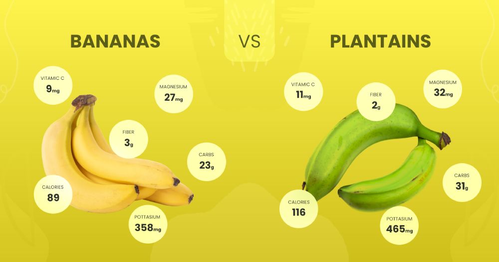 banana vs plantain nutrition