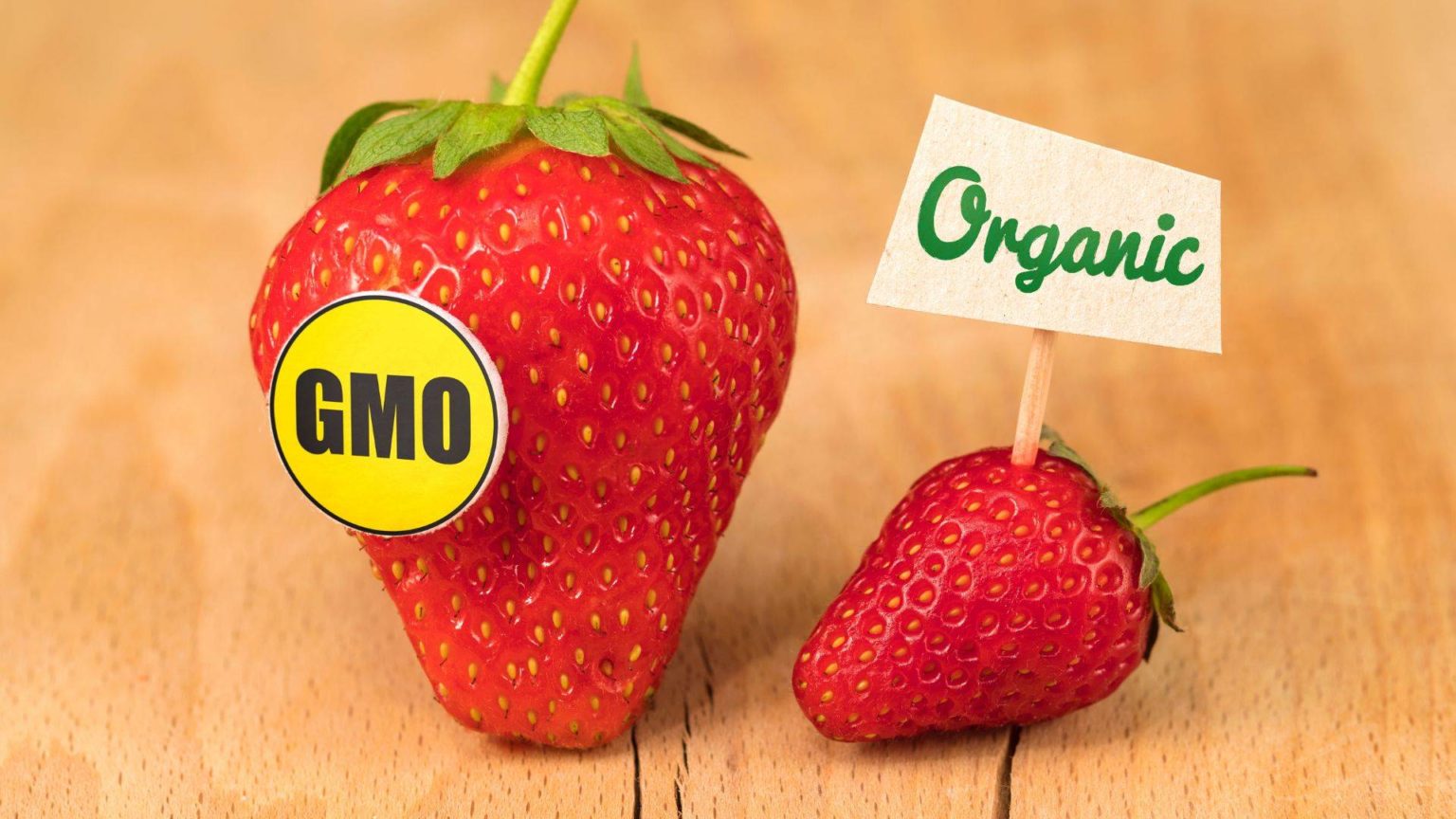 Organic Vs GMO How Do These Labels Reflect The Quality Of Food 