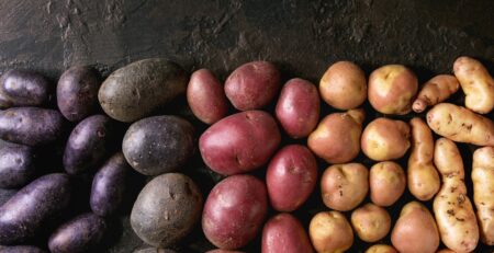 Different types of potatoes